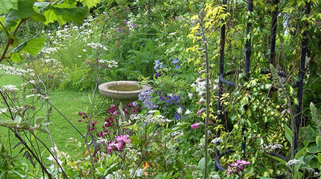 Thorpe Green House Vegetarian Bed & Breakfast Robin Hood's Bay Kültér fotó