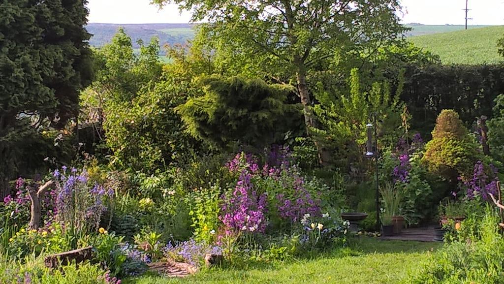 Thorpe Green House Vegetarian Bed & Breakfast Robin Hood's Bay Kültér fotó