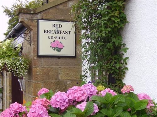 Thorpe Green House Vegetarian Bed & Breakfast Robin Hood's Bay Kültér fotó