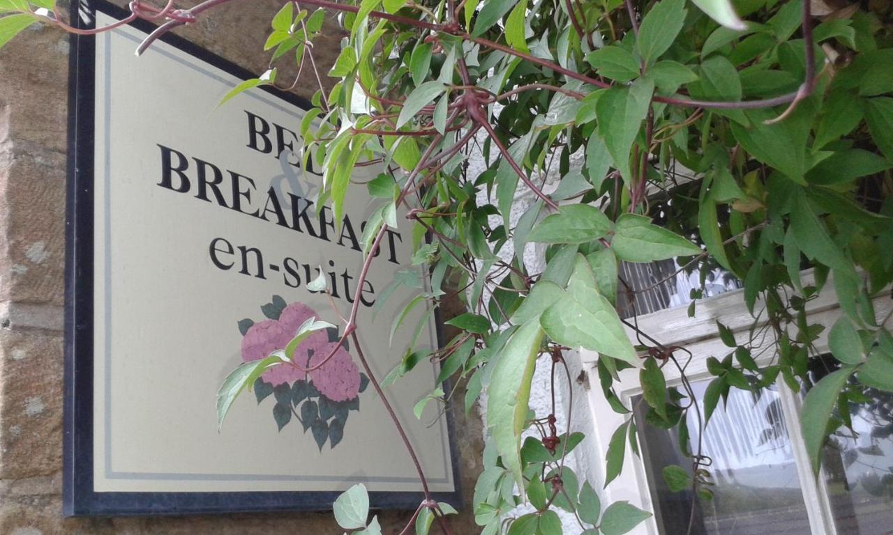 Thorpe Green House Vegetarian Bed & Breakfast Robin Hood's Bay Kültér fotó